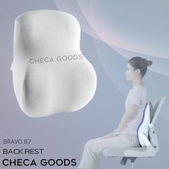 CHECAGOODS - Respaldar para Dolor de Espalda Ergonómico Checa Goods B7 Gris Claro