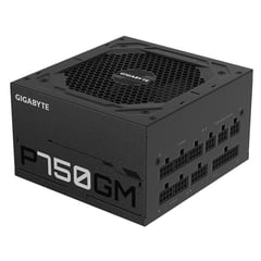 GIGABYTE - FUENTE DE PODER 750W 80 PLUS GOLD MODULAR