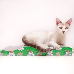 CAT OH - Rascador para gatos - Doble Ola de cartón con catnip