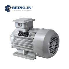 BERKLIN - MOTOR ELÉCTRICO TRIFASICO DE 3HP 3500RPM