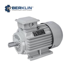 BERKLIN - MOTOR ELÉCTRICO TRIFASICO DE 2HP 1750RPM