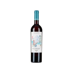 MORANDINA - Blueberry semi seco 750ml