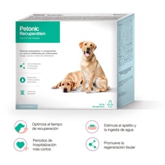 PETONIC - VITAMINA NUTRICIONAL PARA PERROS RECUPERATION X 275 ML