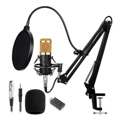 OEM - Microfono Condensador BM800 Con Brazo soporte y Filtro - Dorado
