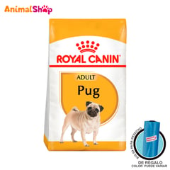 ROYAL CANIN - Comida De Perro Bhn Pug Adulto X 3 Kg