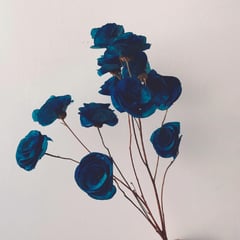 DECORA FLORES - Ramo rosas secas azules x 12