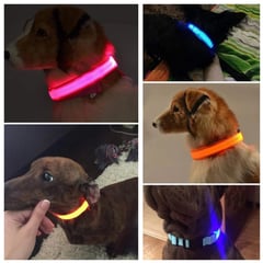 GENERICO - Collar Correa con Luces Mascota Perro Gato Azul