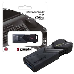 KINGSTON - USB 256Gb Retractil Onyx