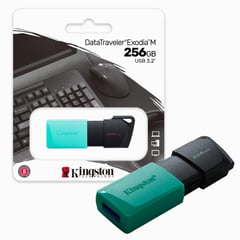 KINGSTON - Memoria Usb 256Gb Retractil