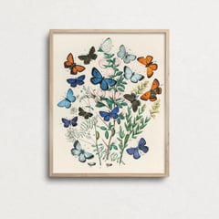 DECO DESIGN - Cuadro Butterflies 30X40Cm