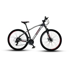 JAFI - Bicicleta montañera Elleven Rocker 29 M315 Gris