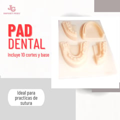 GENERICO - ALMOHADILLA DE ENTRENAMIENTO DENTAL - PAD DE SUTURA DENTAL