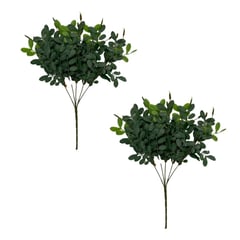 FLORIPA - Pack de 2 Ramas de Hojas de Sophorae 00091 FLORIPASTORE