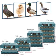 GENERICO - Incubadora Automática de 256 Huevos Dual 220v-12v Jersimport