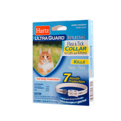 HARTZ - Collar Antipulgas Gatos y Gatitos Ultraguard 7meses