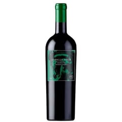 CABALLO LOCO - Vino Grand Cru Sagrada Familia 750ml