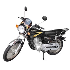 YANG ZU - MOTOCICLETA EG 150 NEGRO ARO PLATEADO