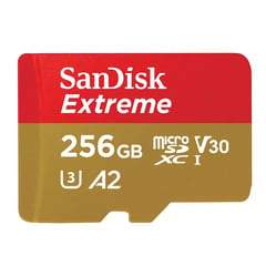 SANDISK - Memoria micro sd extreme 256 gb