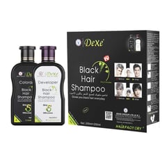 DEXE - Tinte Shampoo Black Hair Negro En Frasco 200ml