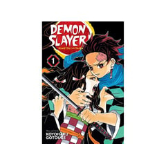 PENGUIN RANDOM HOUSE - DEMON SLAYER: KIMETSU NO YAIBA, VOL. 1