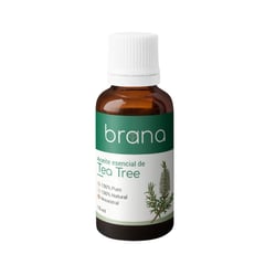 BRANA - Aceite Esencial 15 ml - Árbol de Té (Tea Tree)