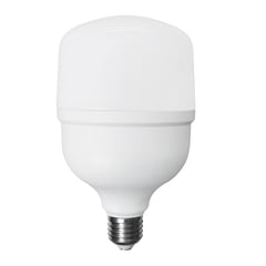 ENSHINE - FOCO LED 30W LUZ FRIA