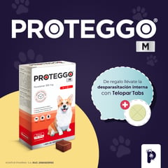 PROTEGGO - ANTIPULGAS PARA PERROS - 200 Mg DE 10 A 20 kg.