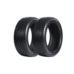 RYDANZ - Pack de 2 Llantas 225/65R17 RALEIGH R06 102H BL 4PR