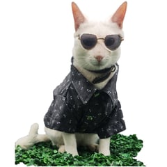 MD - Camisa para Mascotas Gatos y Perros Calavera Gris T-M
