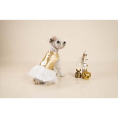 GENERICO - Vestido GOLDEN para mascotas