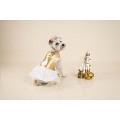 GENERICO - Vestido GOLDEN para mascotas