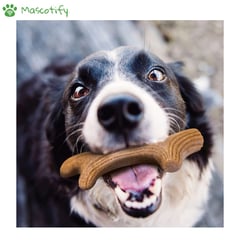 GIGWI - Wooden Antler - Cuerno de madera para perros Talle L