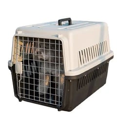 GENERICO - TRANSPORTADOR KENNEL L70 DOBLE PISO Y PLATO COLGANTE