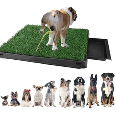 GENERICO - Baño para Perros Medianos 50X33CM Bandeja Grass Removible