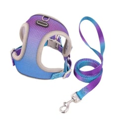 CAT OH - Set de Arnes y Correa neon rainbow Azul XL