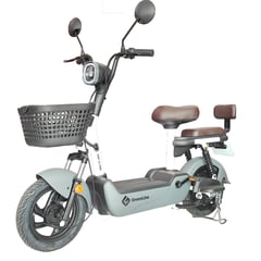 GREENLINE - Bicimoto Eléctrica Plomo Extraíble Aro 10 VMP S3 PRO GRIS