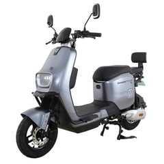 GREENLINE - Bicimoto Eléctrica Batería Extraíble Litio Aro 10 VMP T5 GRIS