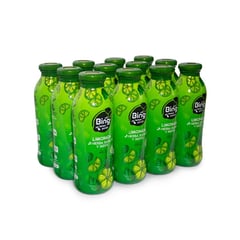 BING LEMON PUNCH - Bebida con Jugo de Limón, Hierbabuena y Menta x 400 ml x 12 unidades