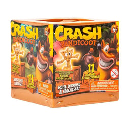 CRASH BANDICOOT - Smash Box Surprise