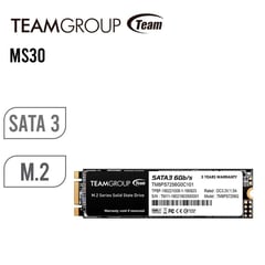TEAMGROUP - DISCO SOLIDO INTERNO MS30 512GB M.2 SATA P/N: TM8PS7512G0C101