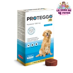 PROTEGGO - 3M 20 A 40 1000 MG ANTIPULGAS