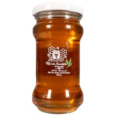 GENERICO - Miel de Abeja de Eucalipto 100% Natural Del Buncker 300g