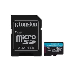 Memoria Micro SD 256GB CANVAS Go Plus 170MBs