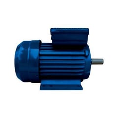 PTK - Motor Electrico 3 HP 2800 RPM de Alta Fierro Fundido