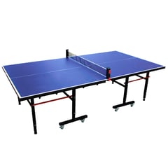 Mesa de Ping Pong profesional