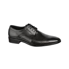CARDINALE - Zapatos Vestir H-484 Negro