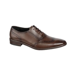 CARDINALE - Zapatos Vestir H-482 Marrón