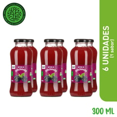 ALYSSOL - Sixpack Nectar Zarzamora Stevia 300ml