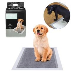 GENERICO - Pañal piso entrenamiento talla L 40uni ideal para tu mascota