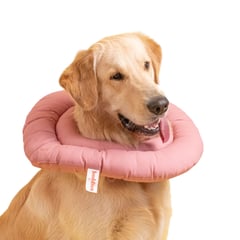 BUDDIES - Donut Anti-lamidos Collar Isabelino Rosa S